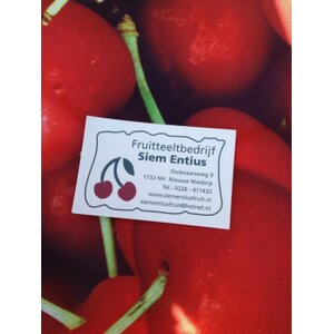 Fruitteeltbedrijf Siem Entius logo