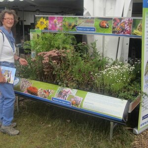 Klaas Bart Hoveniers image 2