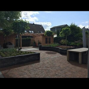 Jeffrey Dolk Hovenierswerken image 2