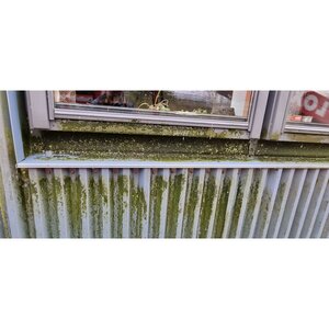 SK Schoonmaakbedrijf Koster BV image 2