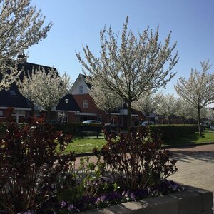 Zorgeloos van huis naar thuis, Makelaardij en Taxaties image 2