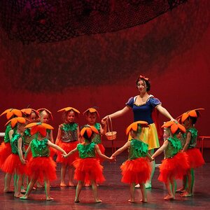 De Hoornse Balletschool image 2