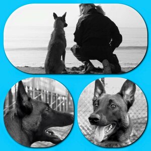 PCR Security image 8