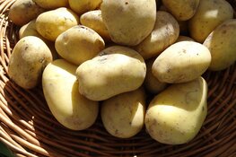 Eerlijk eten van dichtbij in het Rundveemuseum