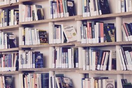 Zomerprogramma Senioren & Zomerprogramma Klooien voor de jeugd