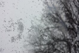 Eerste volle week van 2021 bewolkt met af en toe wat winterse neerslag
