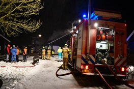 Help de koeien van het Rundveemuseum uit de brand!