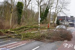 Fotoalbum: Noord-Holland in de greep van storm Eunice