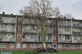 Fotoalbum: Noord-Holland in de greep van storm Eunice