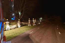Fotoalbum: Noord-Holland in de greep van storm Eunice
