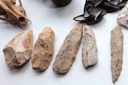 Archeologiedag op 6 maart in rundveemuseum Aartswoud