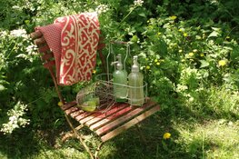 Adriaans curiosamarkt op 18 april in Museumboerderij in Hoogwoud