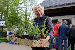 Plantenmarkt bij Rundveemuseum in Aartswoud op zondag 1 mei