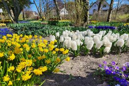 Voorjaar in Poldertuin Anna Paulowna