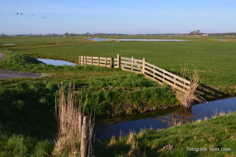 Wandeling Weelpolder en bezoek Rundveemuseum in Aartswoud