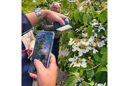 Ontdek de kunst van Smartphone Fotografie: tips voor de beste Foto's!