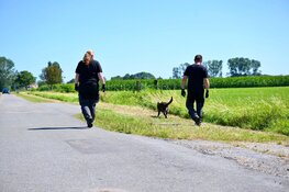 Overval in Opmeer, vluchtauto uitgebrand in Midwoud