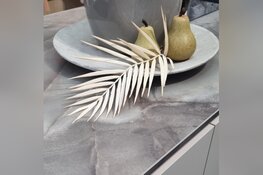 Nieuwe ontwikkelingen qua keukentrends