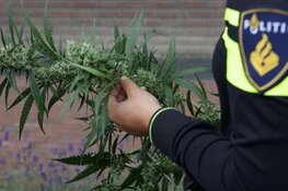 Provincie en 44 gemeenten bundelen krachten tegen ondermijning