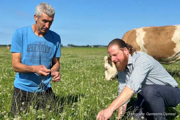 Melkveehouders uit Opmeer opgelet: extra korting op kruidenrijk grasland