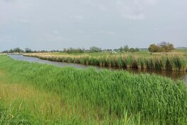 Noord-Holland vraagt € 450 miljoen voor maatregelen natuur en stikstof