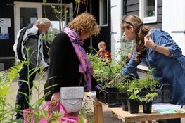 Plantenmarkt bij rundveemuseum op zondag 4 mei