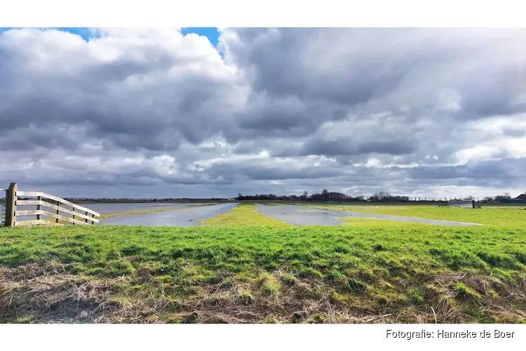 Zomerexpositie in rundveemuseum water vriend of vijand?