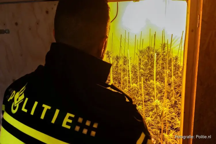 Hennepkwekerij na tip aangetroffen in Hoogwoud