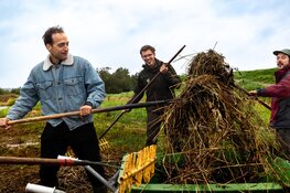 Help de dieren in jouw omgeving!