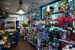 Fong-Leng Yau: Liefde voor het vak en plezier als drijfveer