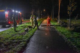 Boom valt op fietspad tussen Spanbroek en Obdam