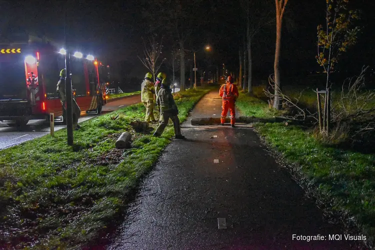 Boom valt op fietspad tussen Spanbroek en Obdam