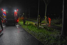 Boom valt op fietspad tussen Spanbroek en Obdam