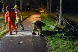 Boom valt op fietspad tussen Spanbroek en Obdam
