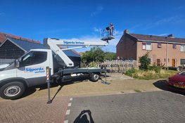 Helpt u de huismus, gierzwaluw of vleermuis aan een plek in uw buurt? Westfriese gemeenten zoeken adressen voor nestkasten