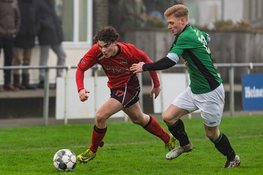 Grasshoppers na rust langs St. George