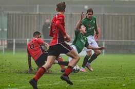 Grasshoppers na rust langs St. George