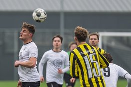 Meervogels heeft aan één goal genoeg bij DWB