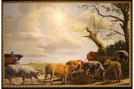 Martin Bakker over ‘de koe in de kunst’ in het Rundveemuseum