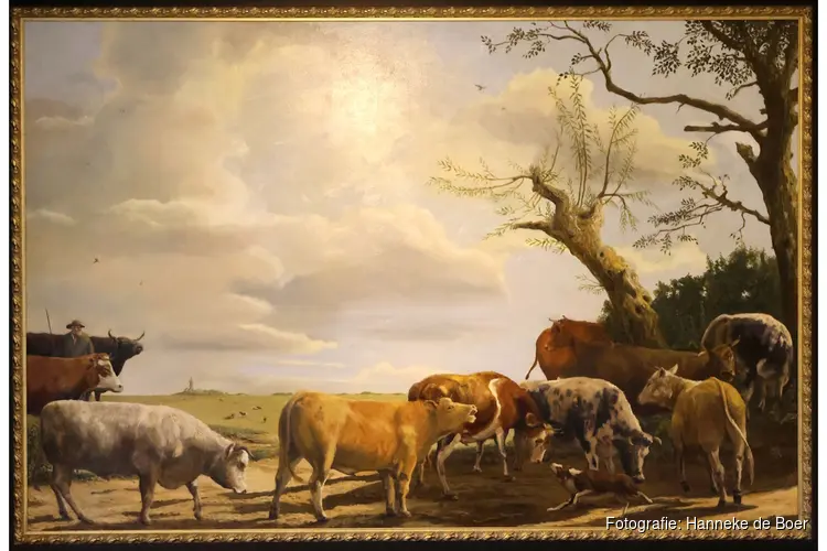 Martin Bakker over ‘de koe in de kunst’ in het Rundveemuseum