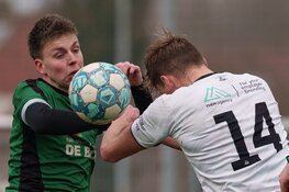 Grasshoppers de sterkste in derby tegen DWB