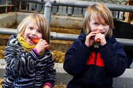 Uitgestelde voedselmarkt weet wat je eet in Aartswoud