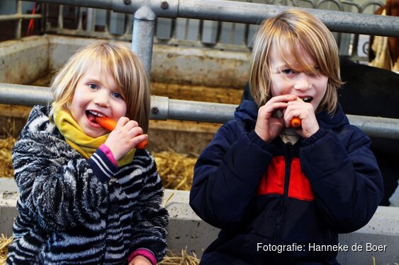 Uitgestelde voedselmarkt weet wat je eet in aartswoud