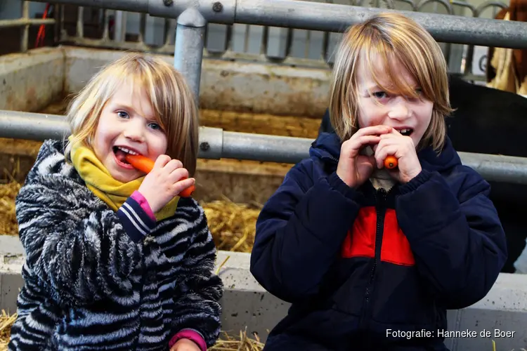 Uitgestelde voedselmarkt weet wat je eet in aartswoud