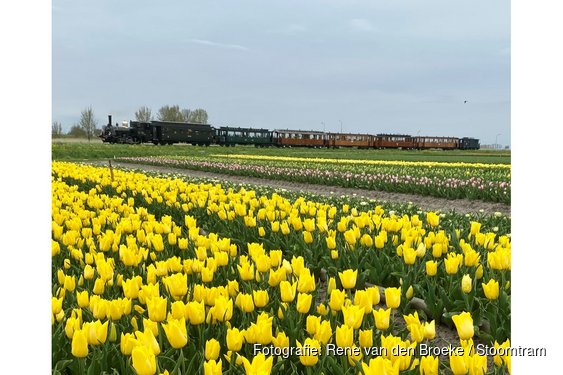 Tulpentrams rijden weer tussen Hoorn en Medemblik