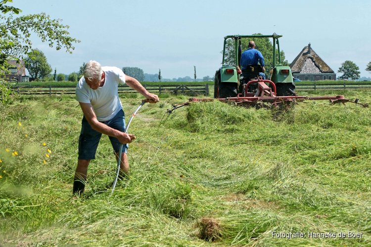 Historisch maaien op 17 mei bij het rundveemuseum in Aartswoud