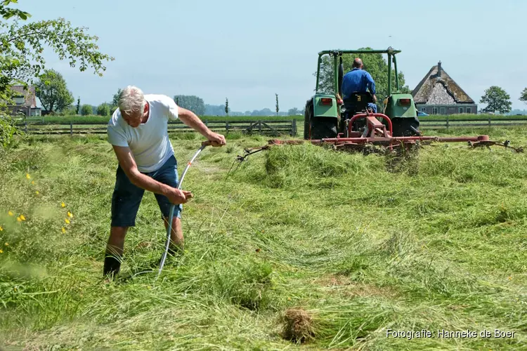 Historisch maaien op 17 mei bij het rundveemuseum in Aartswoud