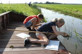 Slootjesdag in Aartswoud bij Rundveemuseum op 7 juni