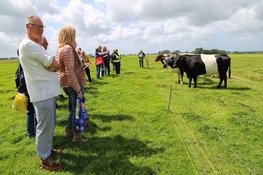 Praten met koeien in het rundveemuseum op 14 juni