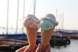 IJssalons in Opmeer